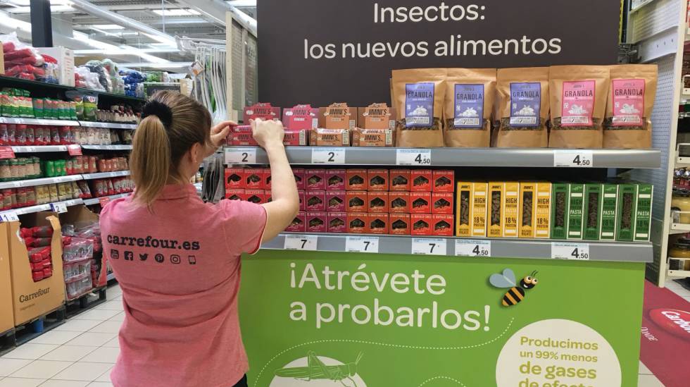 Insectos Carrefour