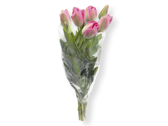Ramo de 7 tulipanes
