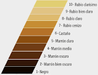 Tabla de colores tinte