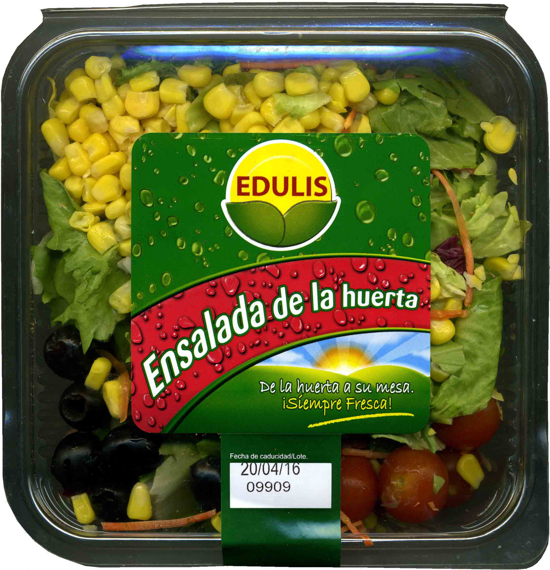 Ensalada de la huerta