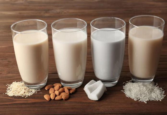 Bebidas vegetales Ecocesta de Día