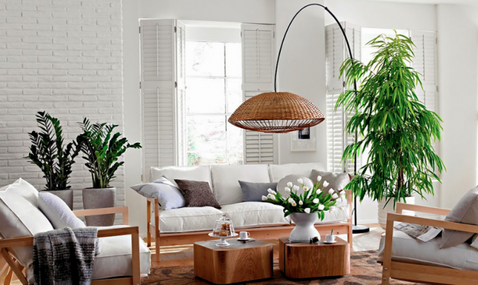 Salón decorado con plantas