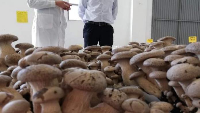 Actualidad sobre Carrefour