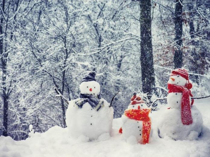 Abrigos infantiles de Aldi