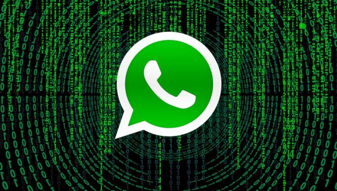 Alerta: problema de seguridad en WhatsApp