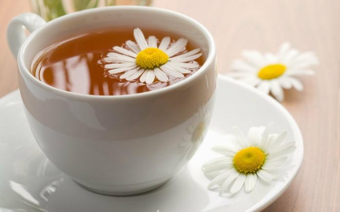 Lidl: catálogo de tés e infusiones