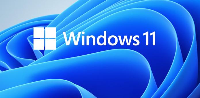 Windows 11