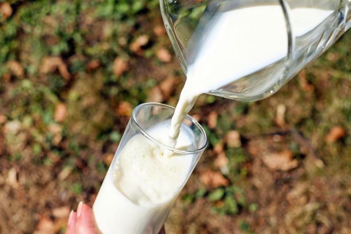 Leche OCU