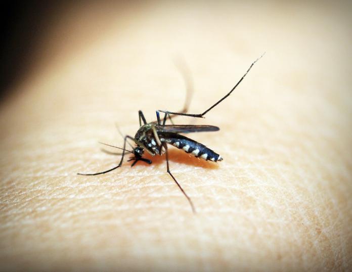 mejores-repelentes-mosquitos