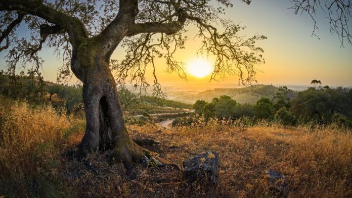 Descubriendo Jaén: Un Recorrido por sus Pueblos Más Emblemáticos