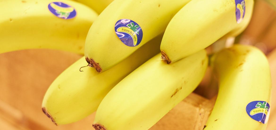 Plátano de Canarias: beneficios y propiedades