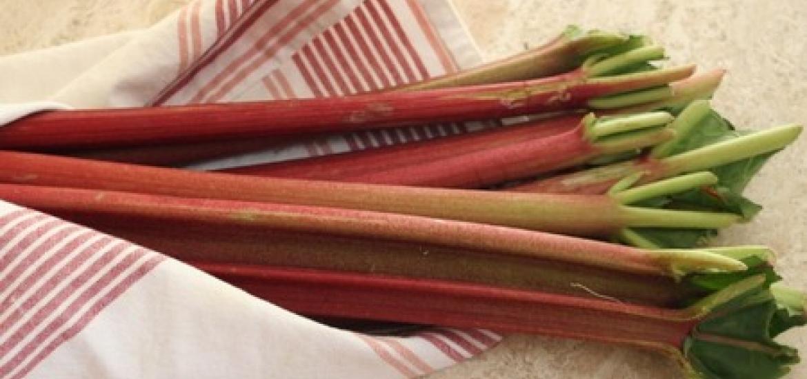 Ruibarbo: beneficios y formas de prepararlo
