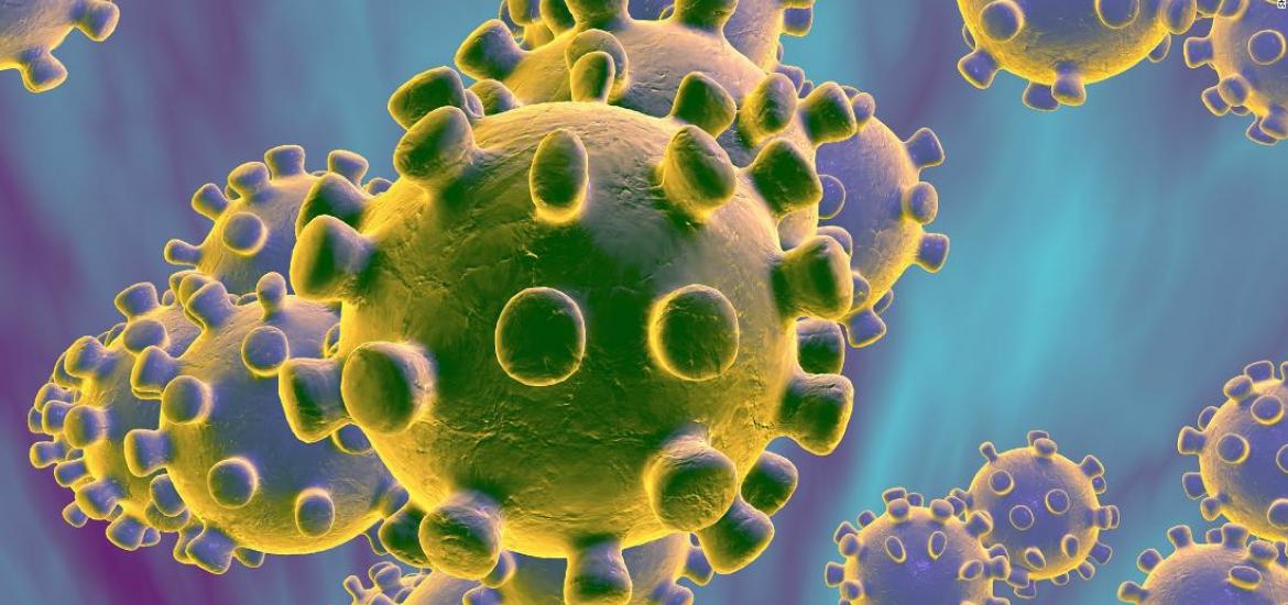 Coronavirus: qué es, transmisión, síntomas, prevención