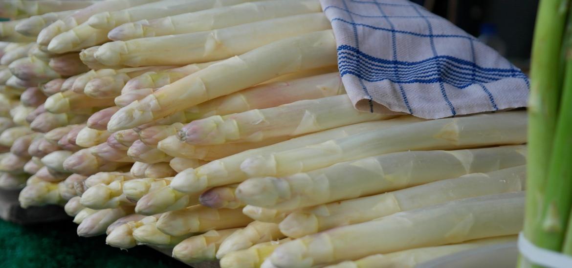 Espárragos blancos