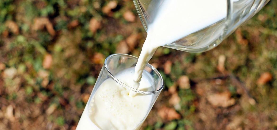 Leche OCU