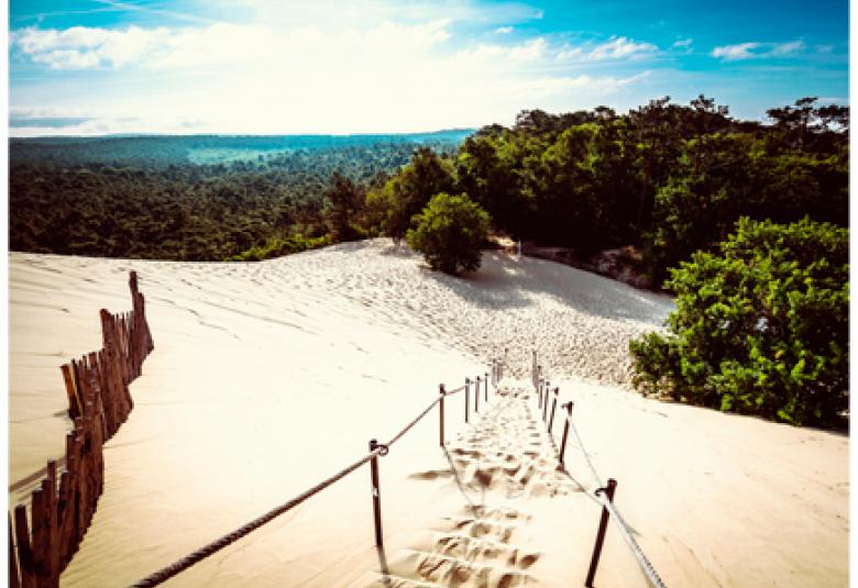 Novedades en cuadros en Leroy Merlin: tres opciones