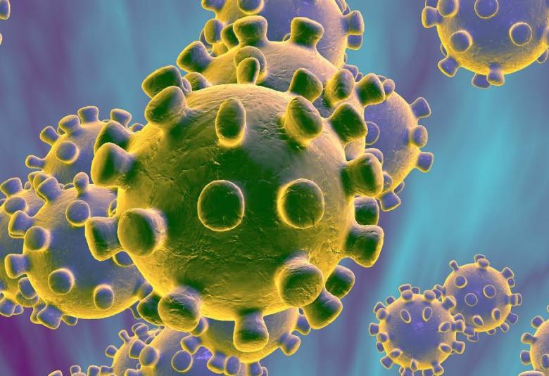 Coronavirus: qué es, transmisión, síntomas, prevención