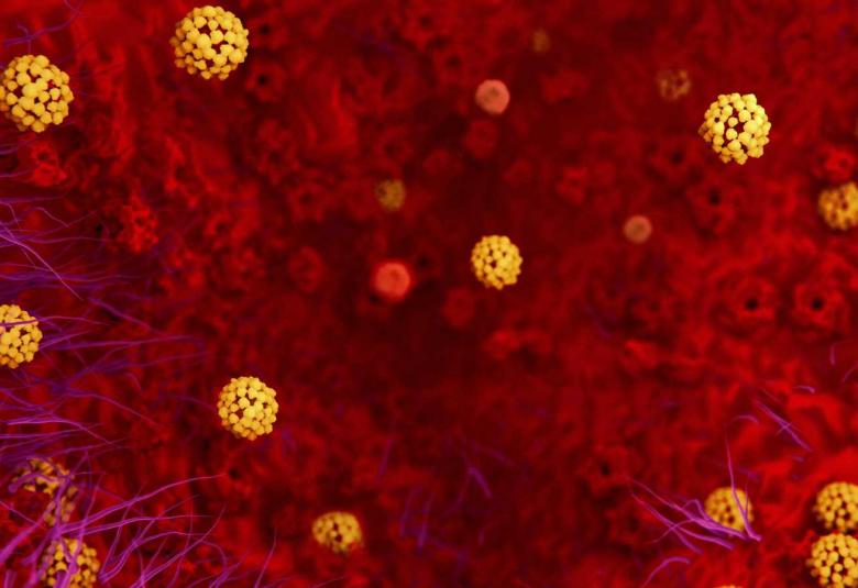 Coronavirus: recomendaciones y medidas de prevención