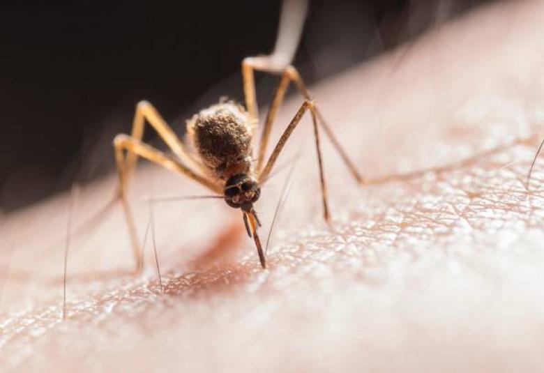 Mercadona: productos antimosquitos 