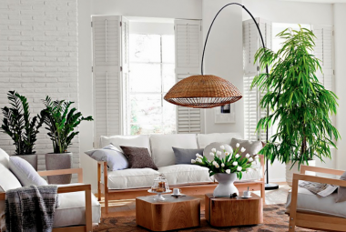 Salón decorado con plantas